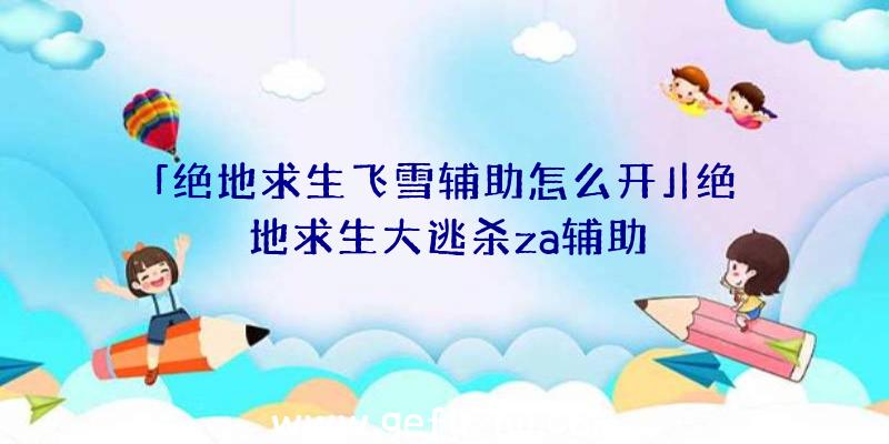 「绝地求生飞雪辅助怎么开」|绝地求生大逃杀za辅助